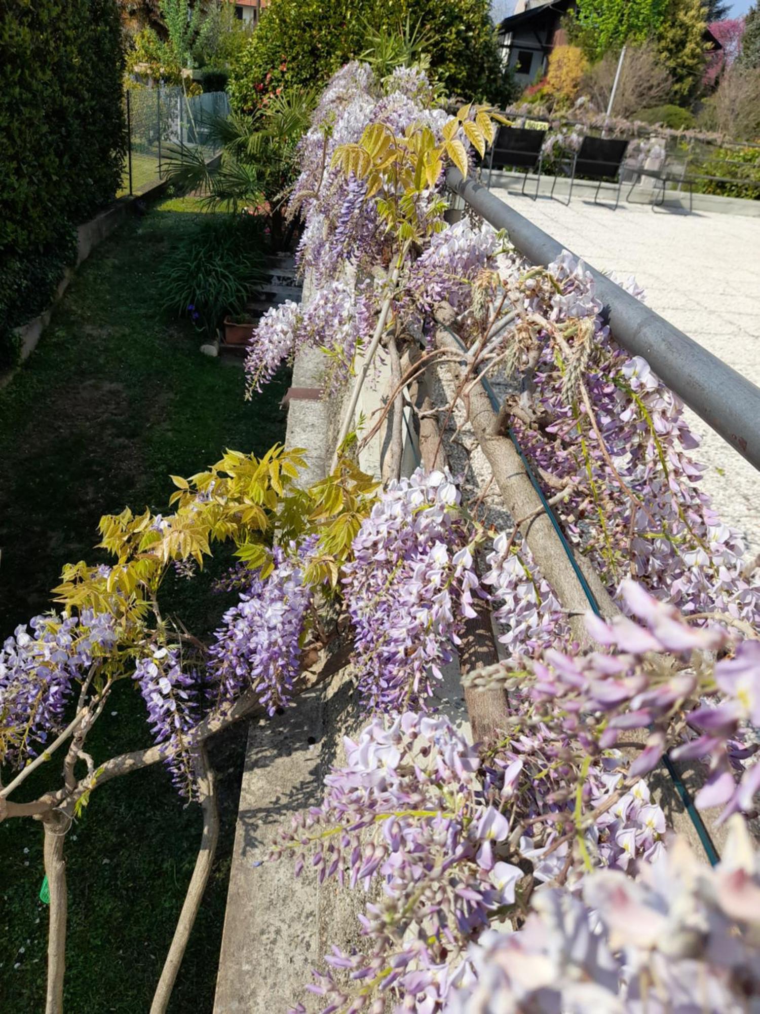 Casa Germana Apartment Invorio Inferiore ภายนอก รูปภาพ