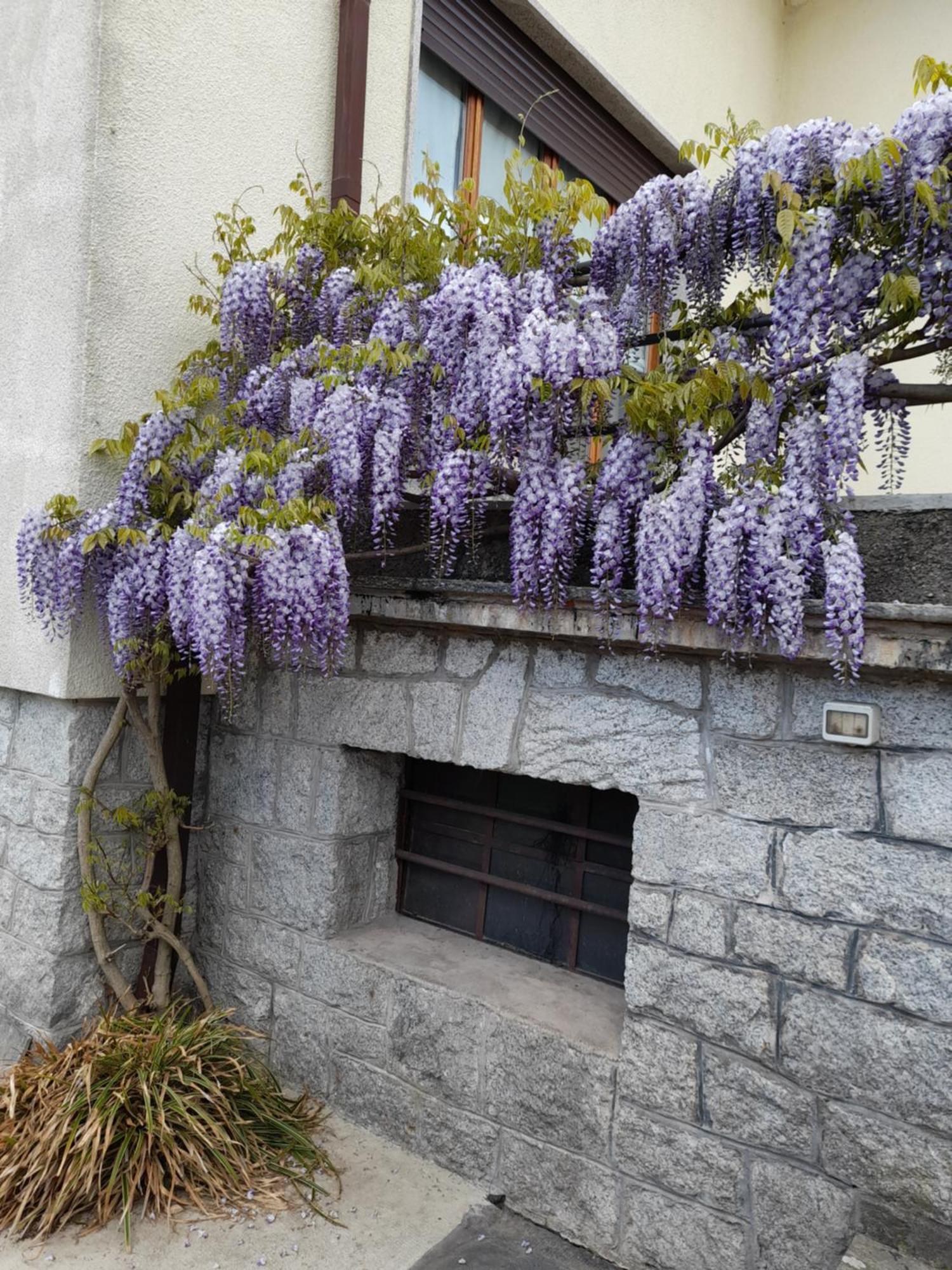 Casa Germana Apartment Invorio Inferiore ภายนอก รูปภาพ